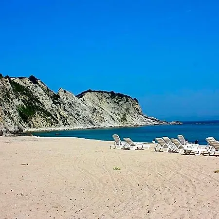 Mad Sea 2*